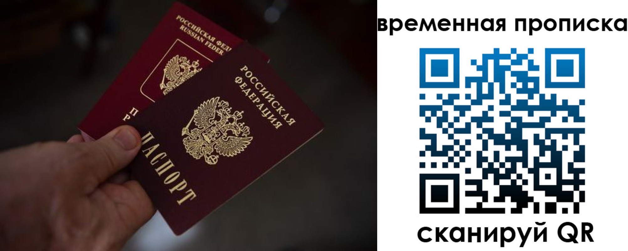 прописка в Сланцах